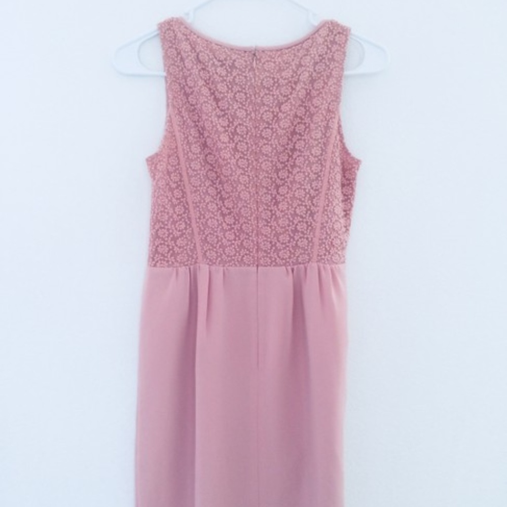 Rose Pink Or Blush Spring and Summer Short Casual